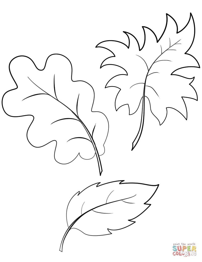 813x1052 Fall Tree Leaves Coloring Pages Download Coloring For Kids
