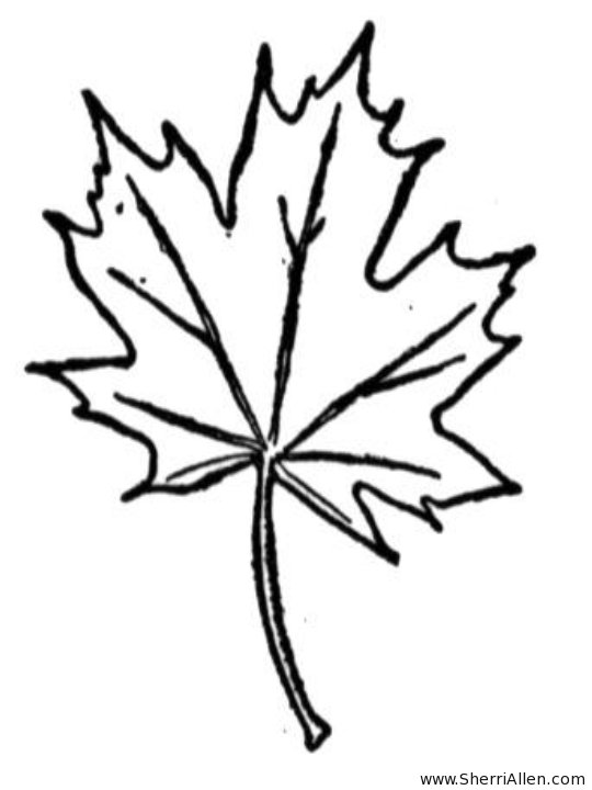 540x720 Kids N Coloring Pages Of Trees And Leaves