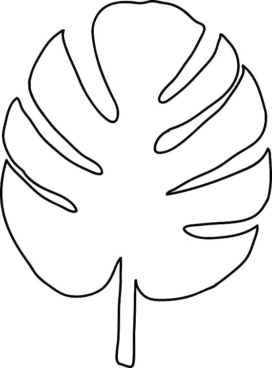 557x753 Leaf Stencils Printable Printable Leaves Coloring Pages Family