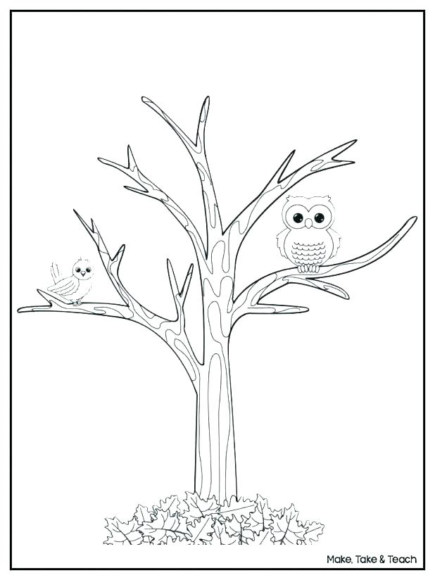 618x824 Tree Printable Coloring Pages Kids Coloring Tree Leaves Coloring