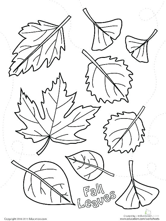 550x733 Tree Without Leaves Coloring Page Trees Coloring Pages Marvelous