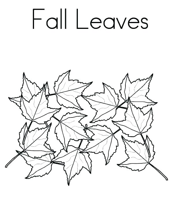 600x776 Fall Leaves Coloring Pages Icontent