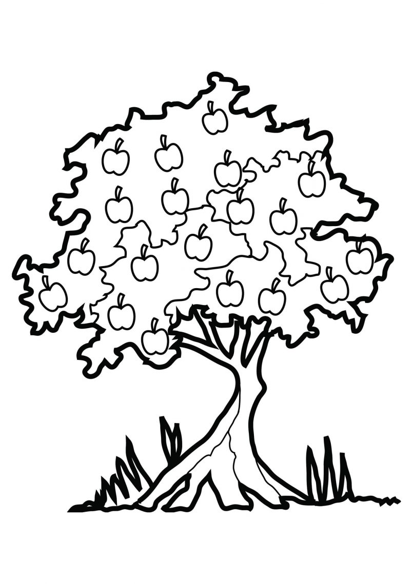 805x1139 Coloring Free Tree Life Coloring Pages Plus Celtic Tree