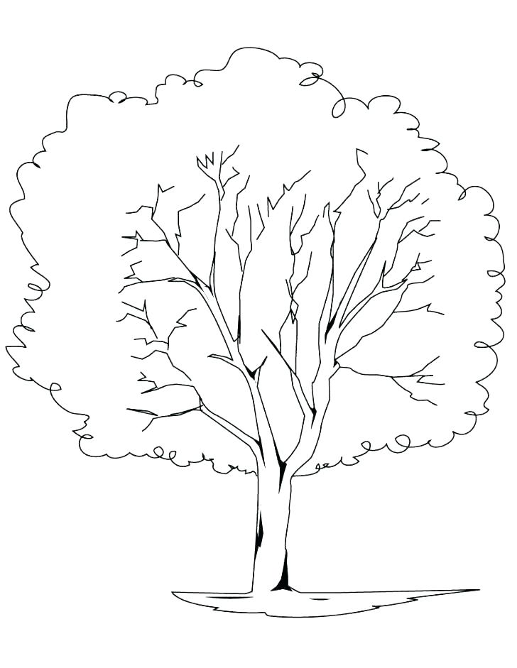 728x941 Coloring Pages Of Trees Tree Of Life Coloring Pages Tree Coloring