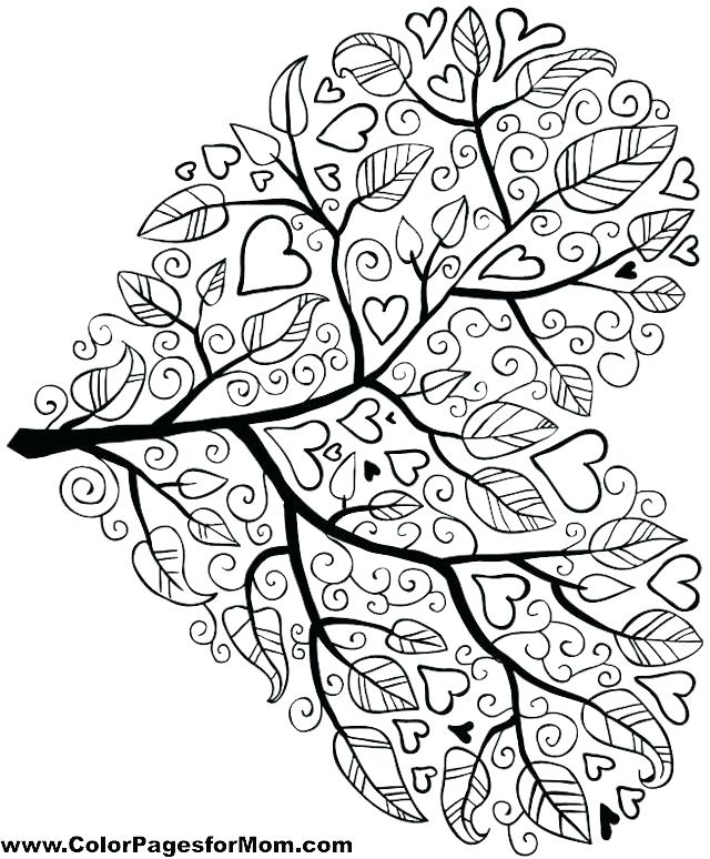 640x774 Tree Of Life Coloring Pages Coloring Pages Tree Great Coloring