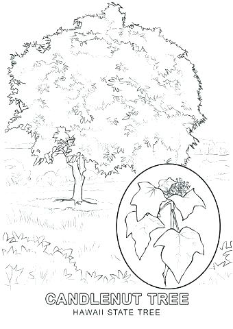 340x480 Tree Of Life Coloring Pages