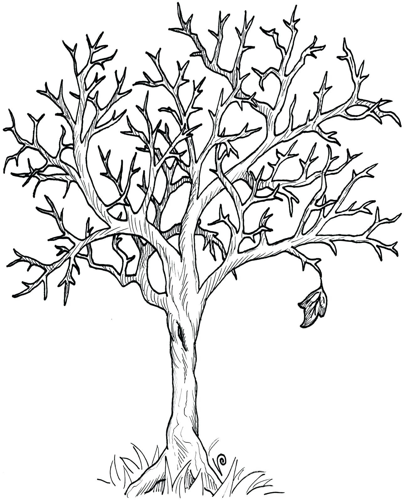 1295x1600 Tree Trunk Coloring Page Inspirational Autumn Tree Coloring Pages