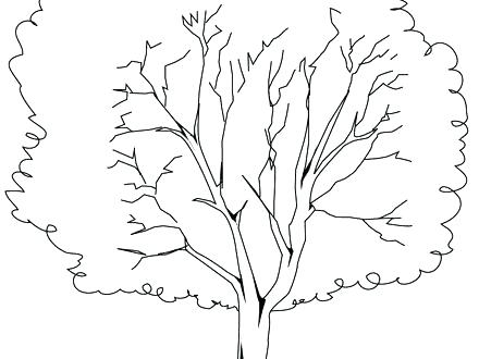 440x330 Tree Trunk No Leaves Coloring Page Bare Pages Colo