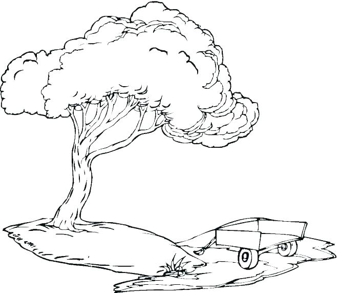 660x571 Coloring Pages Of Trees With Leaves Coloring Pages Of Trees