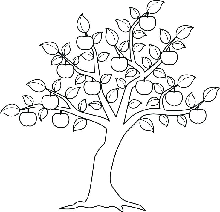 736x708 Coloring Pages Tree Cute Tree Without Leaves Colouring Pages