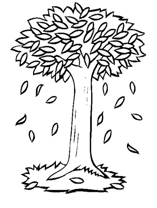 500x662 Fall Tree Coloring Pages
