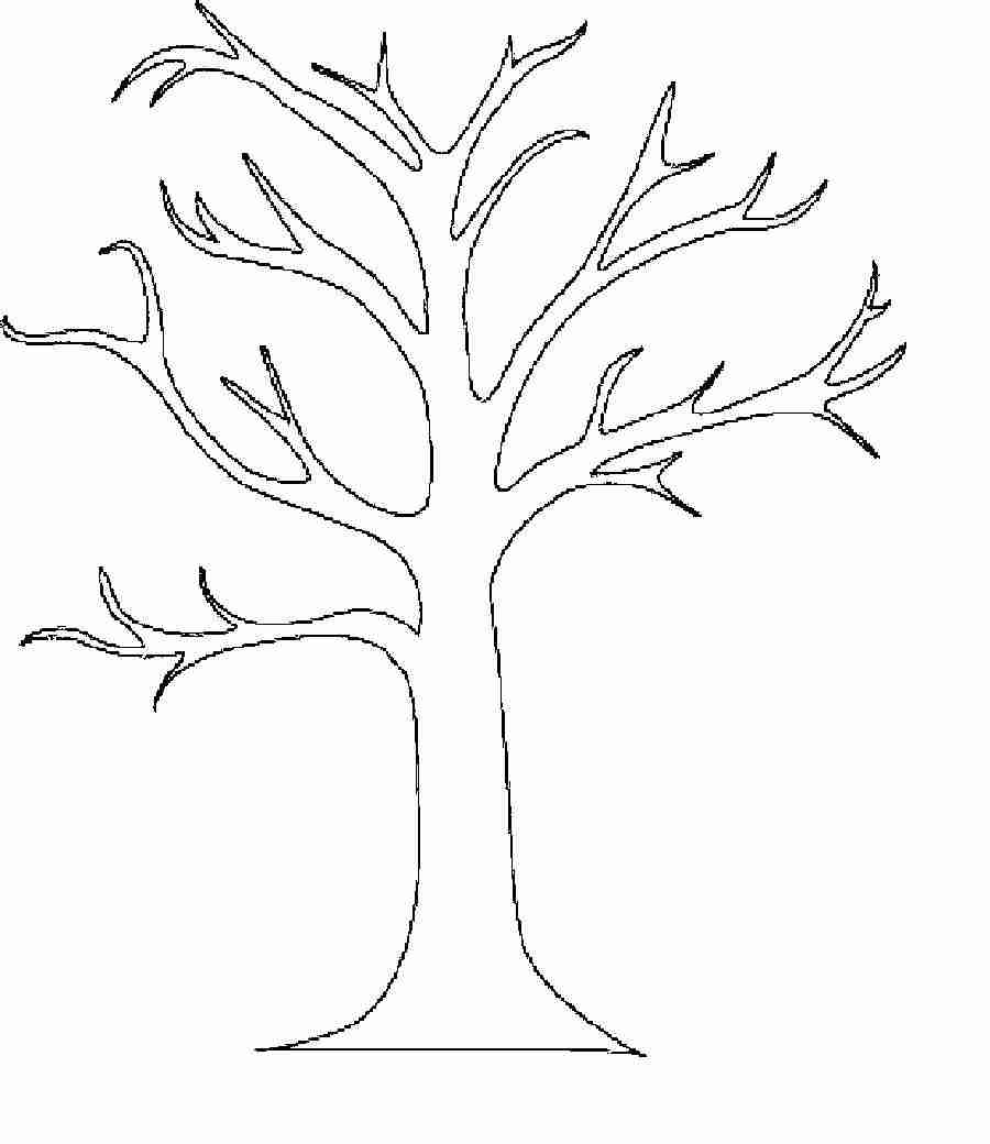 900x1040 Tree Without Leaves Coloring Page Free Download Ripping Olegratiy