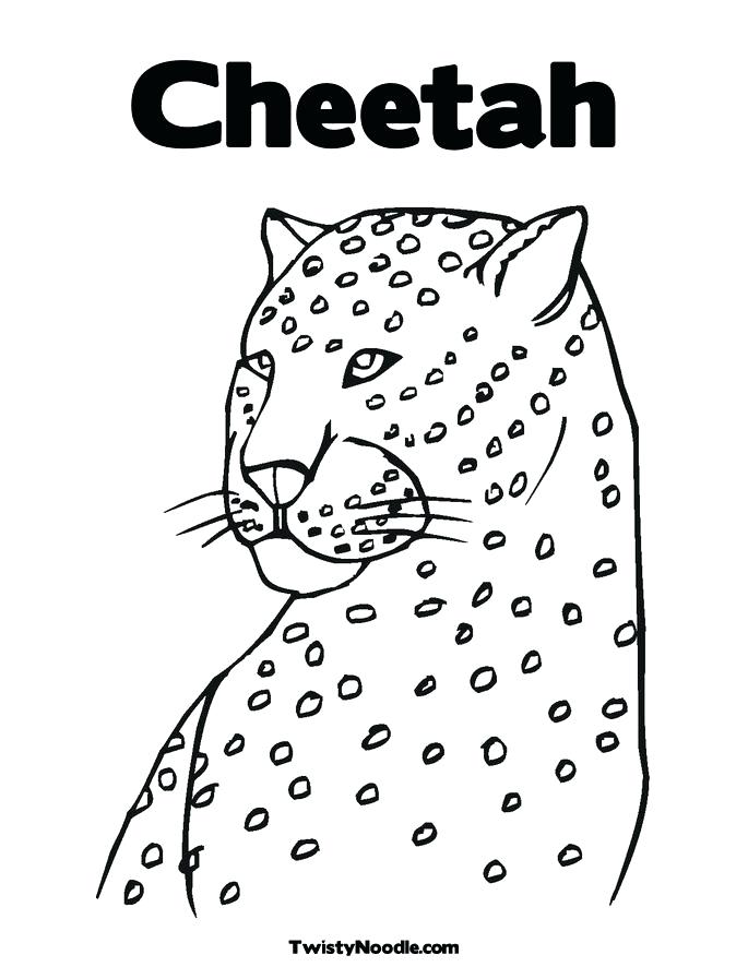685x886 Cheetah Print Coloring Pages Cheetah Coloring Pages Free