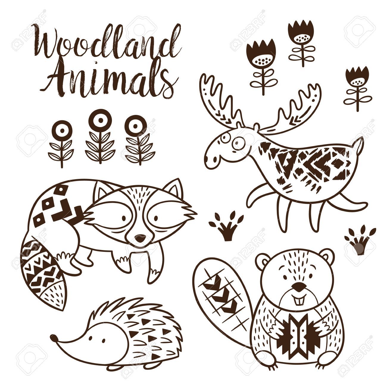 1300x1300 The Best Woodland Animal Coloring Pages For Kids Hand Drawn Vector