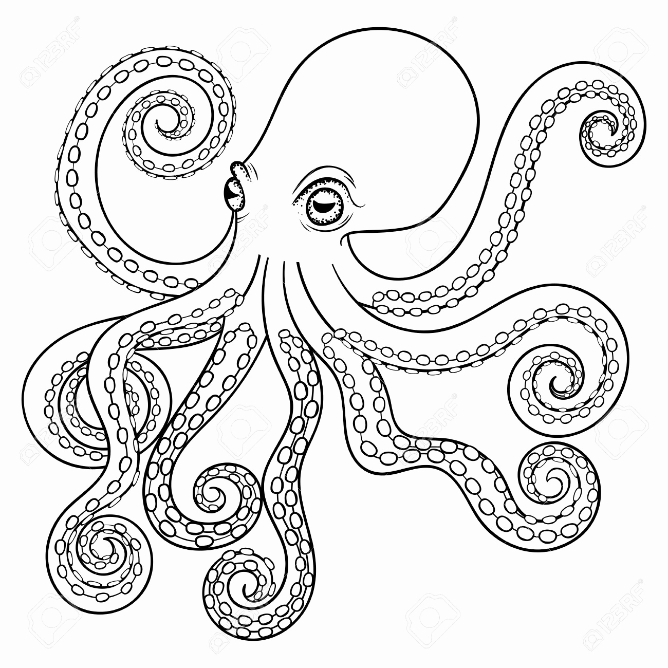 1300x1300 Animal Coloring Pages For Adults Unique Hand Drawn Tribal Octopus