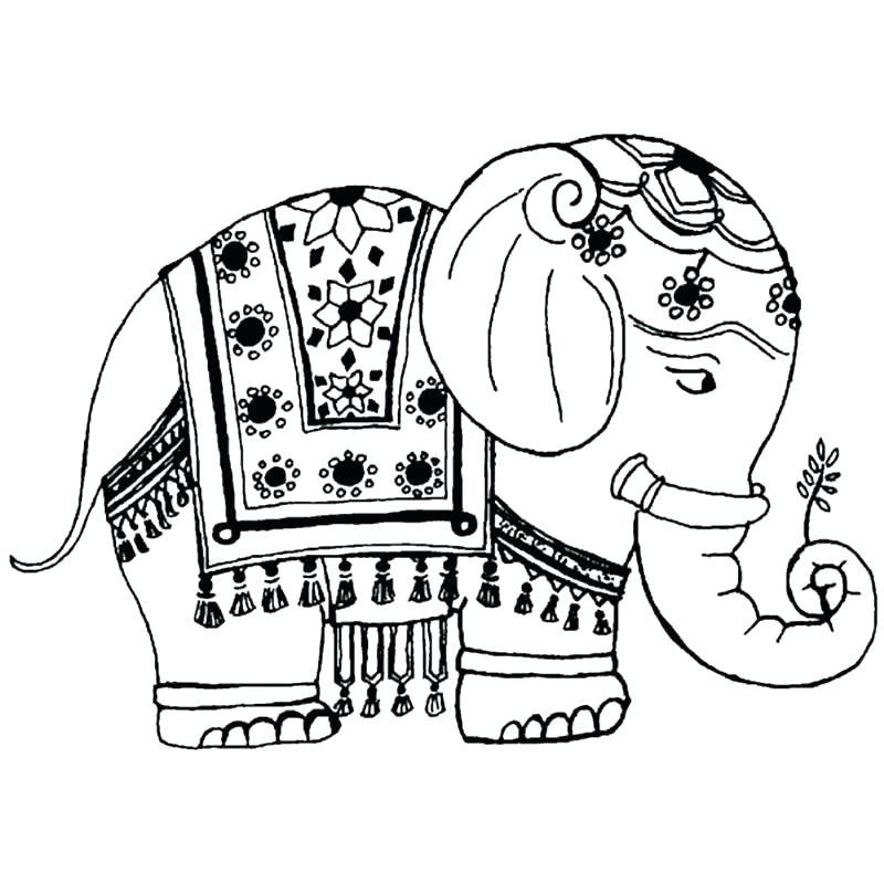 800x800 Coloring Pages Elephant Elephant Coloring Pages Printable Mandala