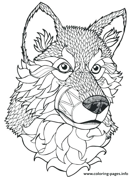 534x712 Wolf Color Page Drawn Howling Wolf Mother Wolf Animal Jam