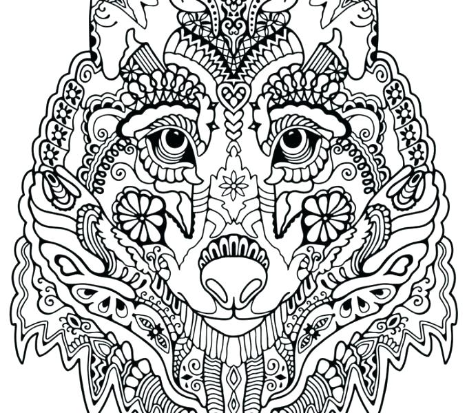 678x600 Wolf Coloring Book For Adults Together With Realistic Wolf