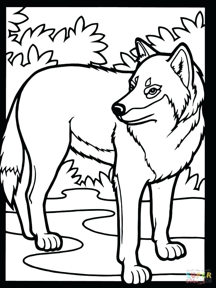 728x971 Wolf Pictures You Can Print Cute Wolf Coloring Pages Cute Wolf