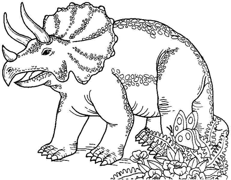 769x600 Triceratops Coloring Page Beautiful Coloring Pages Kids Logo