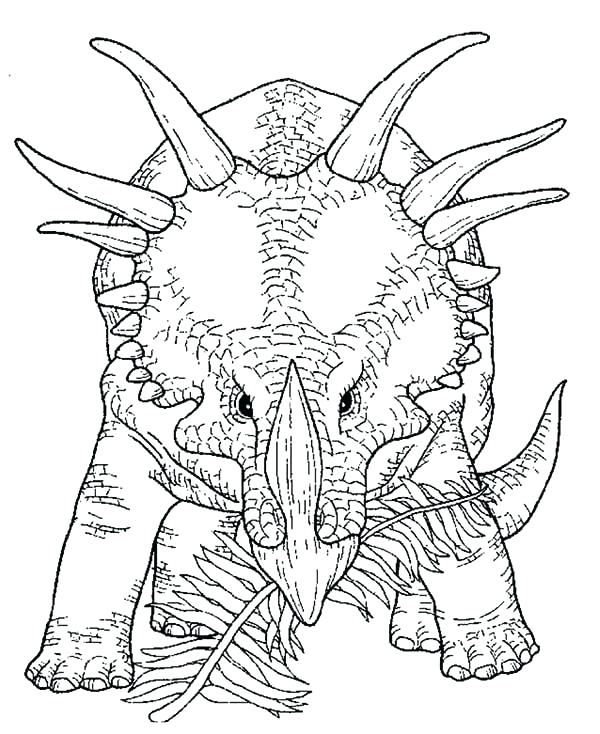 600x734 Triceratops Coloring Page Coloring Page Preview Triceratops