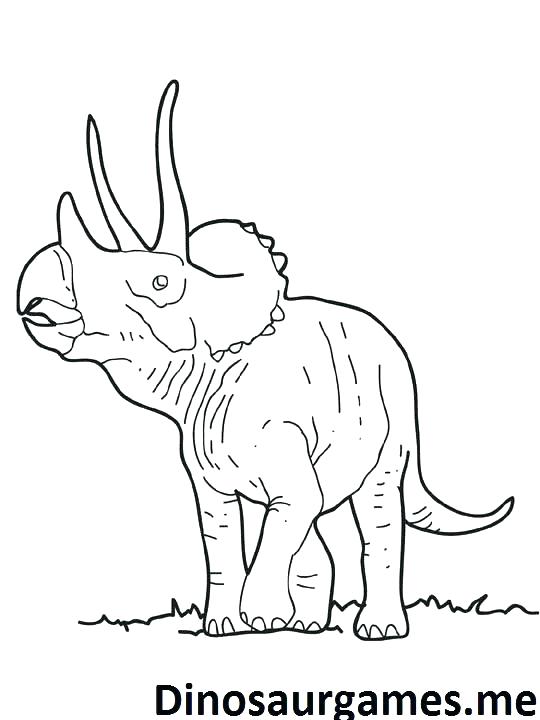 540x720 Triceratops Coloring Pages Triceratops Coloring Pages Dinosaur Big