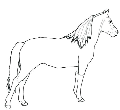 480x441 Coloring Page Of A Horse Horse Printable Coloring Pages Horse