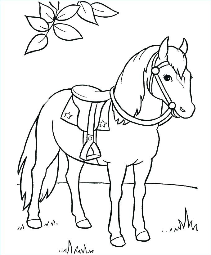 680x822 Coloring Page Of Horse Horse Horses Coloring Page Horses Coloring