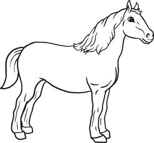 310x287 Free Horses Coloring Pages For Kids