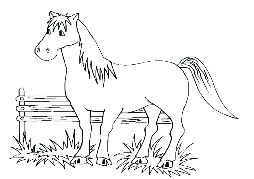 850x601 Horses Coloring Pages Horse Coloring Page For Adults Illustration