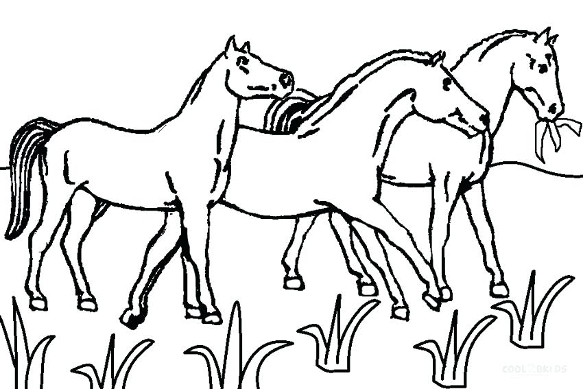 850x567 Horses Coloring Pages Pdf Horseland Horses Coloring Pages Horses