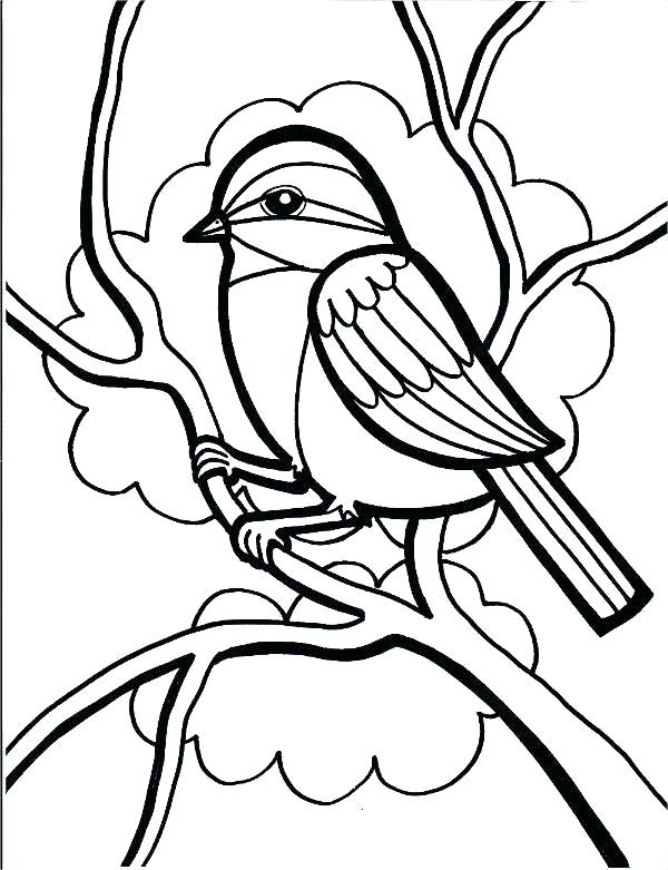 600x781 Free Tropical Bird Coloring Pages Printable Sheets