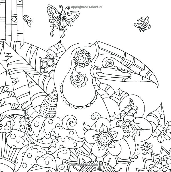 600x603 Toucan Coloring Page Wildlife Coloring Books Toucan Bird Tropical