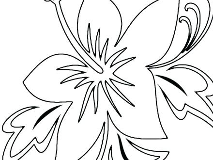 440x330 Tropical Coloring Pages Tropical Bird Coloring Pages Free Tropical
