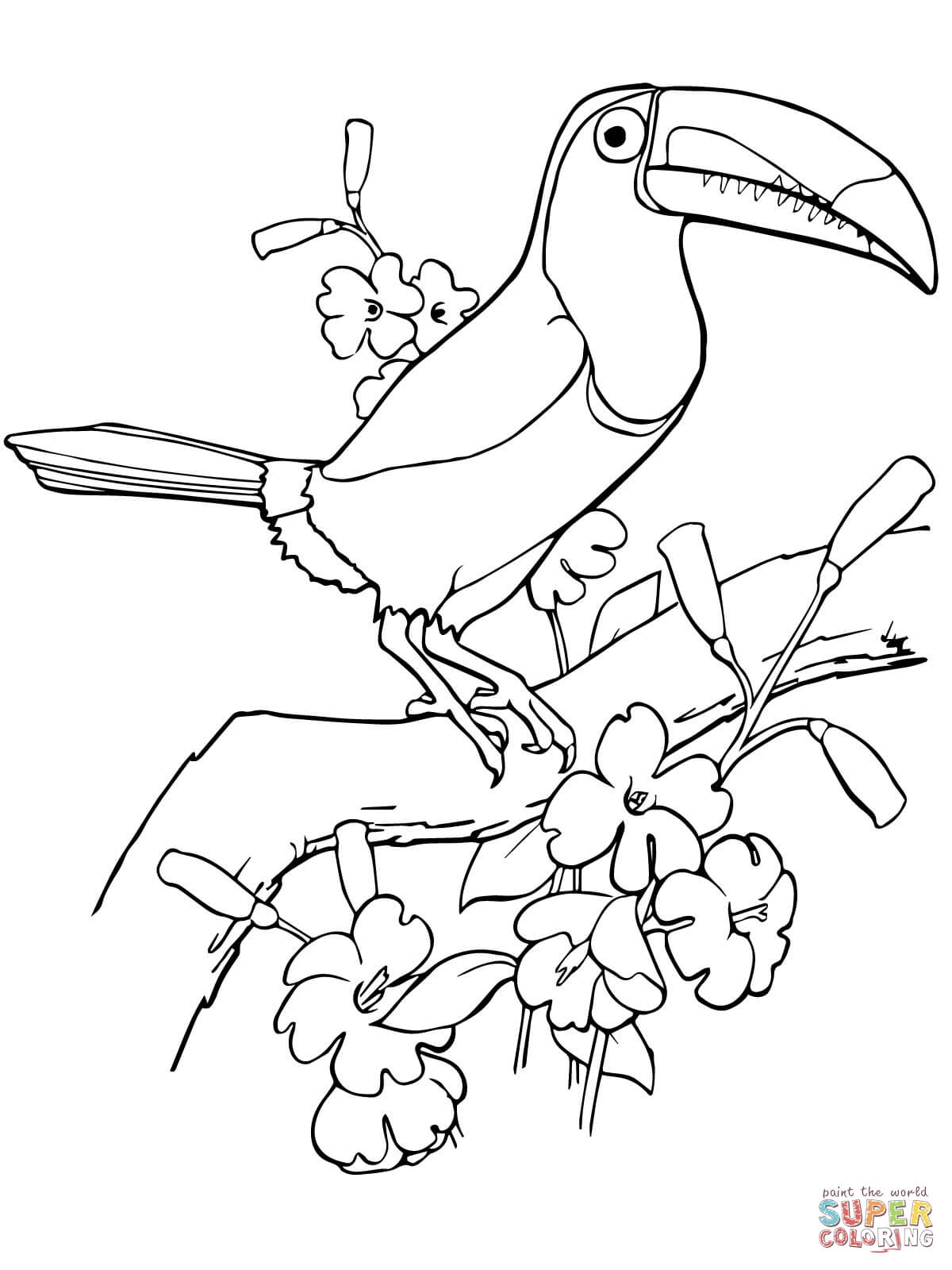 1200x1600 Unique Tropical Bird Coloring Pages Collection