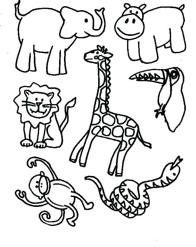 637x800 Rainforest Animal Coloring Pages Tropical Coloring Pages Free