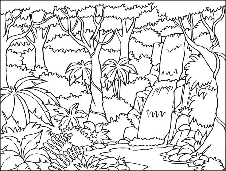736x559 And Tropical Coloring Pages Color Jungle Coloring Book Wallpaper