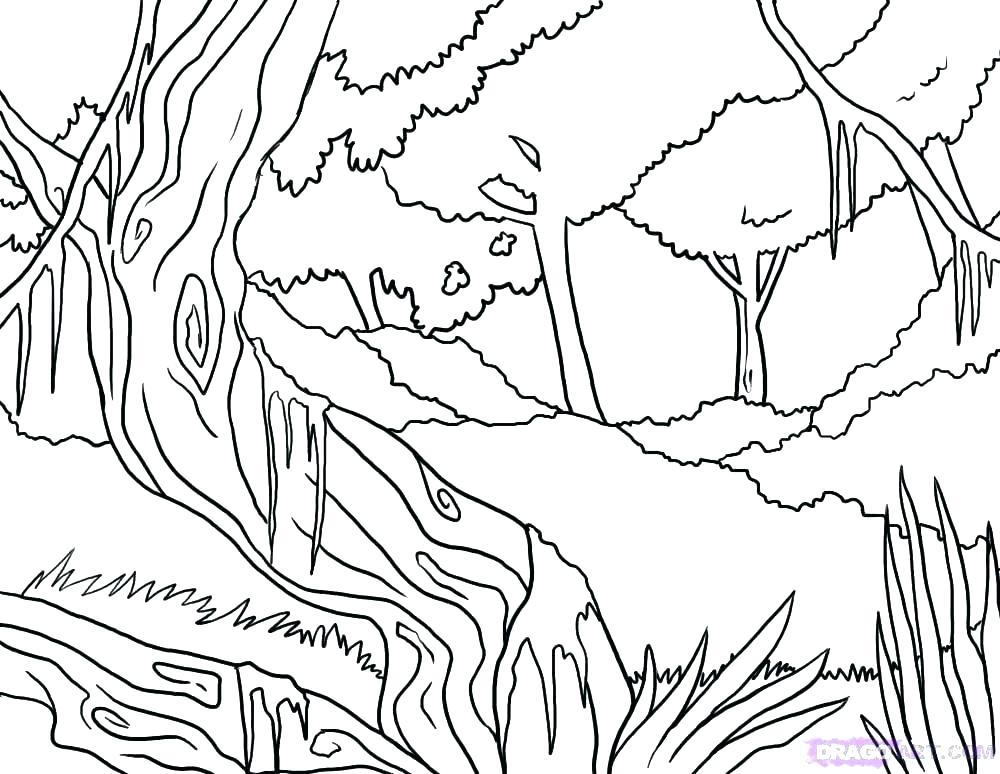 1000x774 Tropical Coloring Pages Rain Forest Coloring Pages Tropical