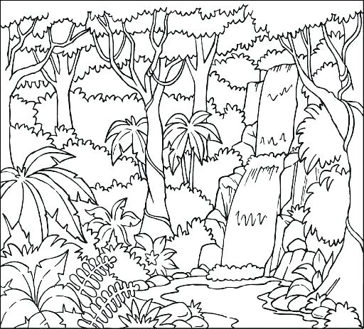 512x463 Tropical Rainforest Coloring Pages Coloring Pages To Print