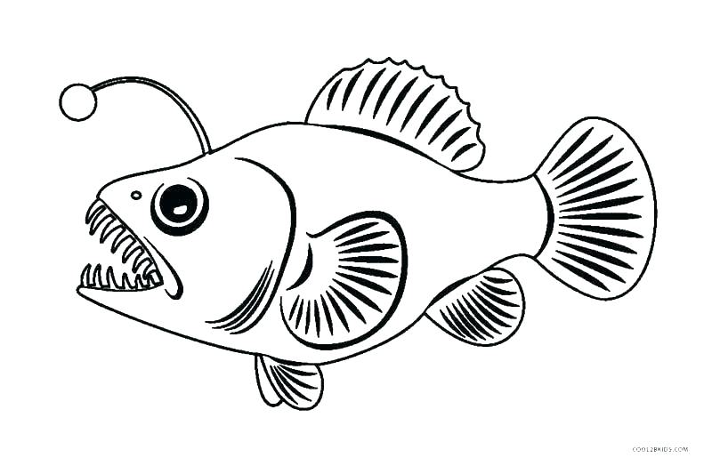 800x524 Tropical Fish Coloring Pages