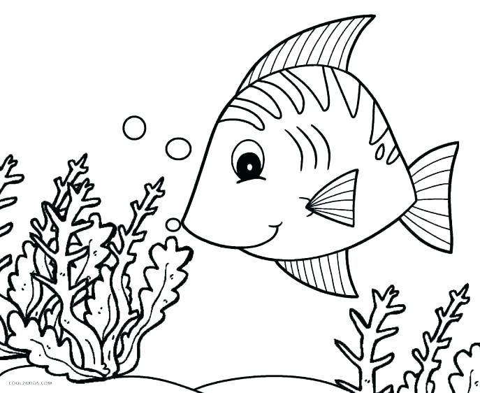 687x562 Fish Coloring Pages For Adults As Well As Tropical Fish Coloring
