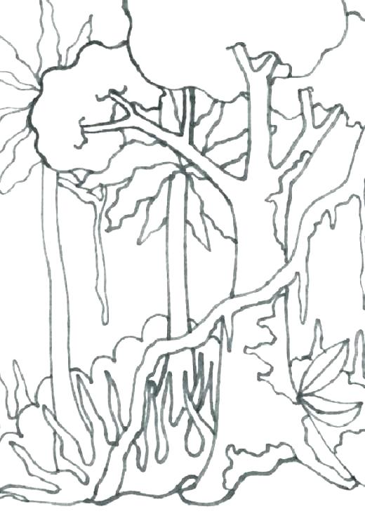 520x735 Tropical Coloring Pages Coloring Pages Enchanting Coloring Page