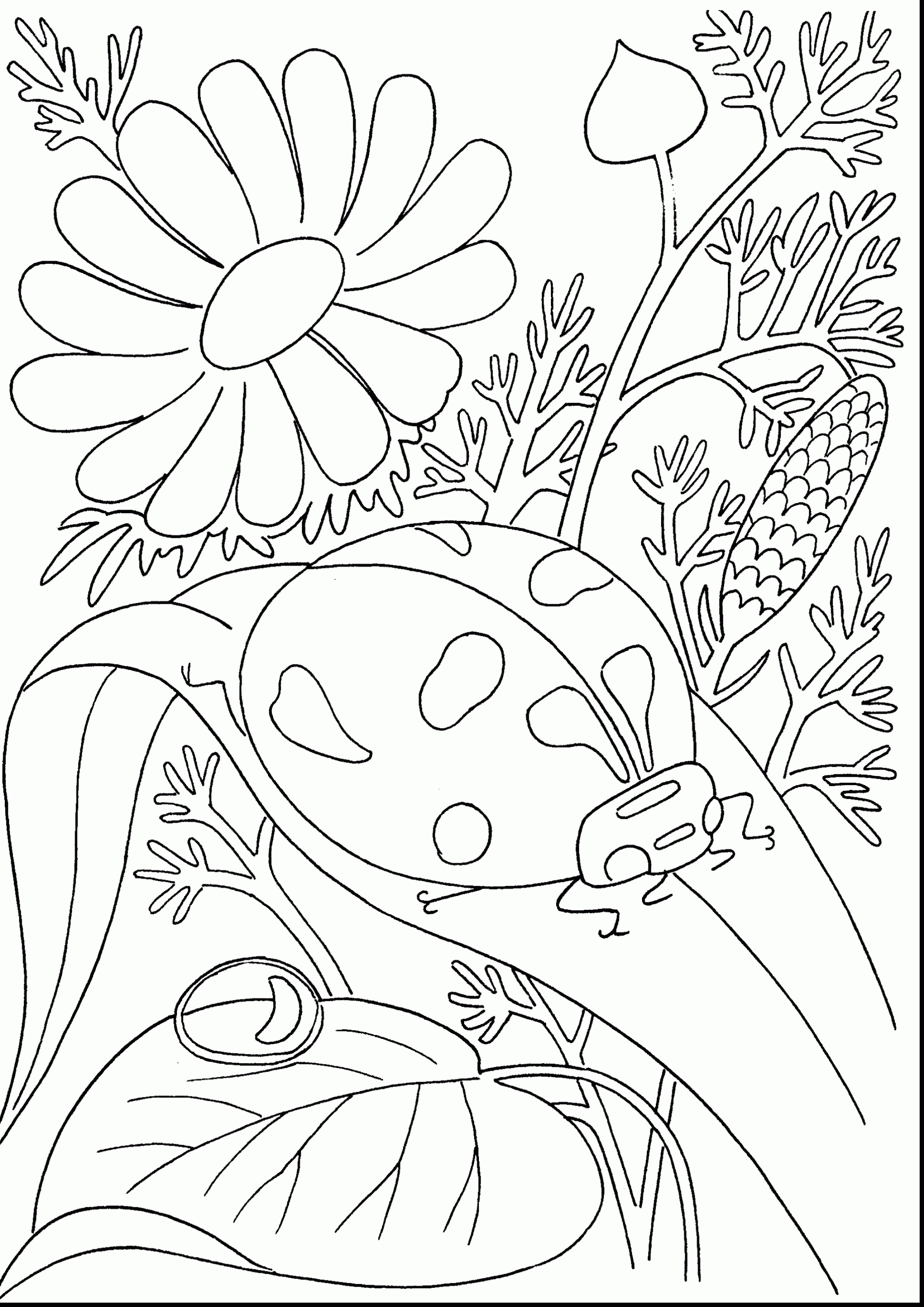 2120x2998 Best Of Tropical Flower Coloring Pages Printable Collection