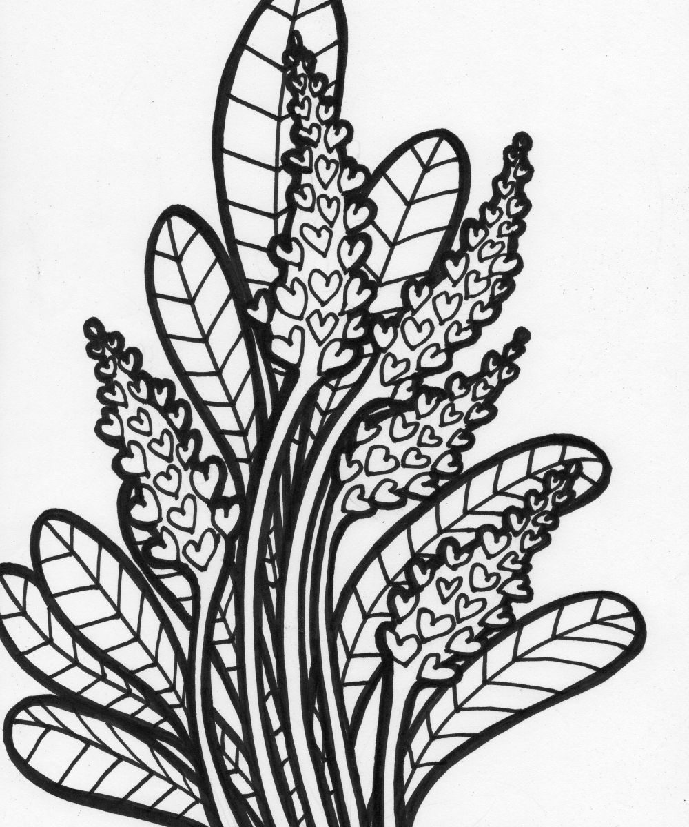 1000x1200 Coloring Pages Rainforest Plants For Adults Free Printable Adult