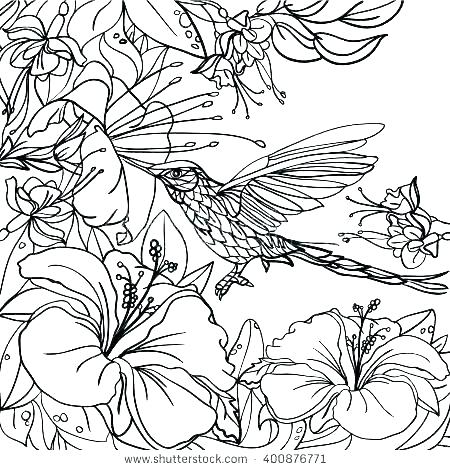 450x470 Detailed Flower Coloring Pages Tropical Coloring Pages Tropical