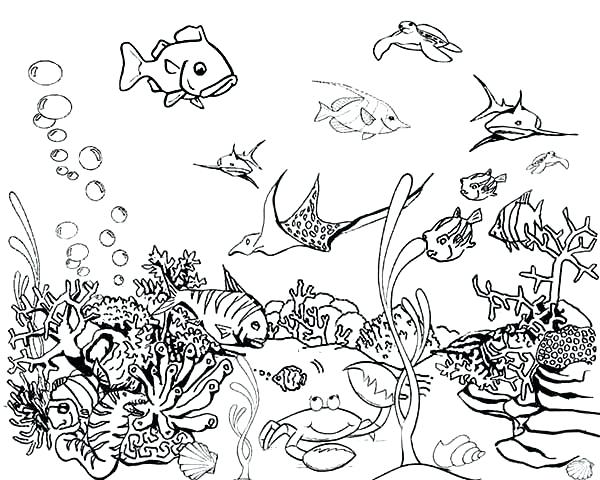 600x480 Fish Coloring Pictures Coloring Page Of Fish Coloring Fish Pages