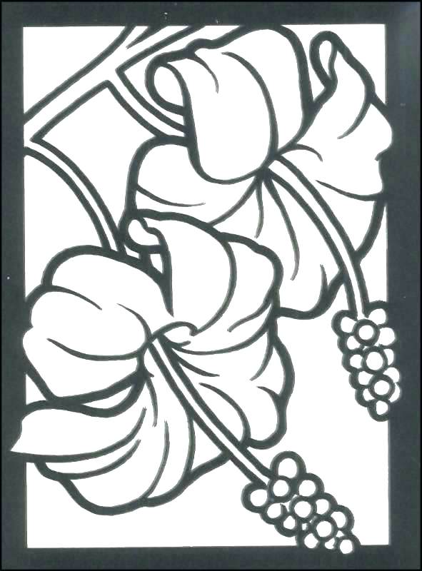 591x800 Small Flower Coloring Pages Small Flowers Coloring Pages