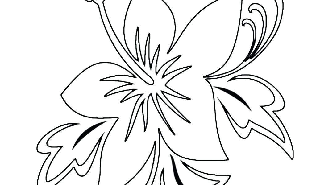 1024x600 Tropical Flower Coloring Pages Free Coloring Pages For Kids
