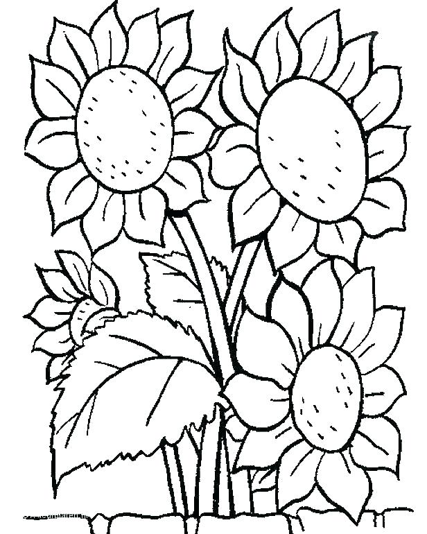 Tropical Flower Coloring Pages at GetDrawings | Free download