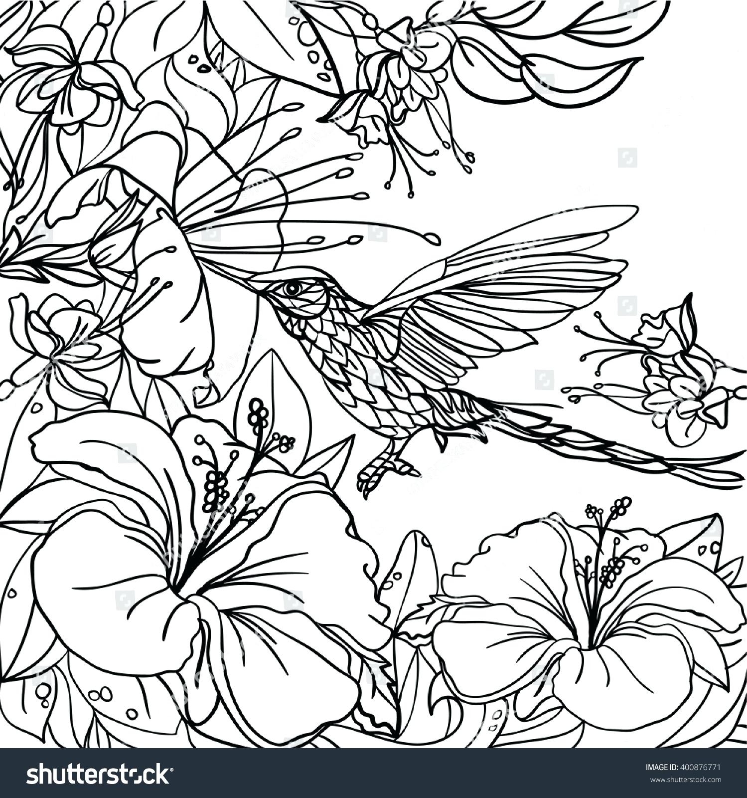 1499x1600 Tropical Flower Coloring Pages To Print Coloring For Kids